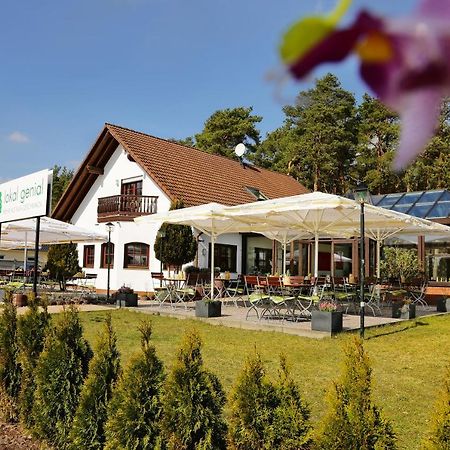 Lokal Genial Pension & Restaurant Beelitz Exteriör bild